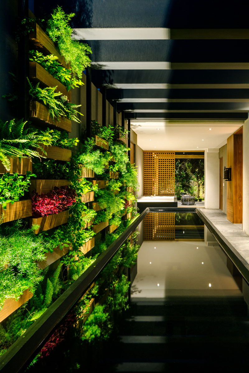 Vườn trong nhà – Những điều cần lưu ý để có một không gian xanh hoàn hảo tại nhà