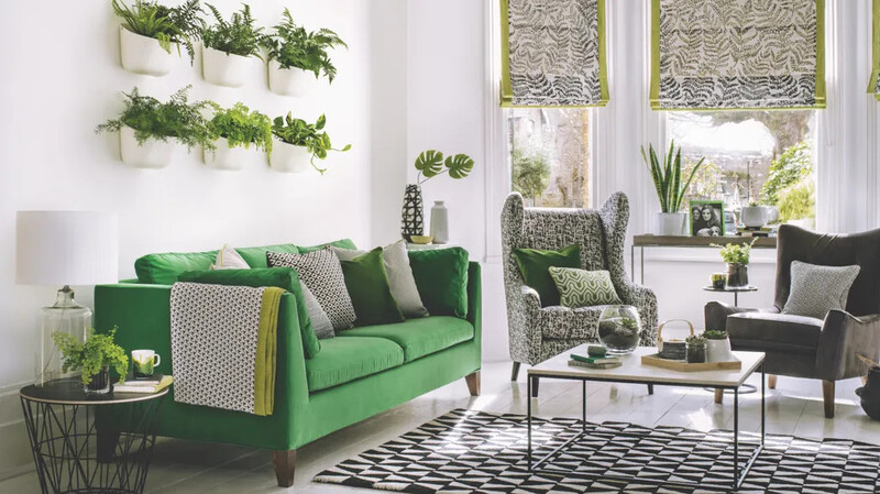 Những ý tưởng cây xanh trang trí phòng khách cho gia đình
